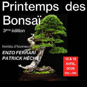 Printemps des Bonsaï