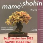Exposition Mame Shohin