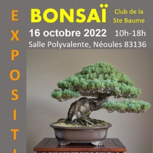 Exposition Néoules