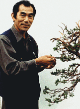Maître Suzuki